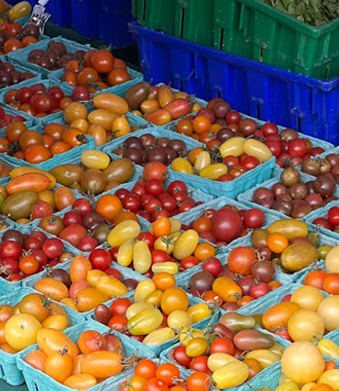 Kunststof voedselbak